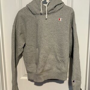 Champion Reverse Weave Hoodie Double-Hood